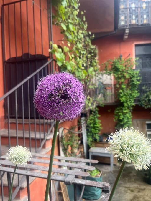 Come A Casa Castelletto sopra Ticino Bagian luar foto
